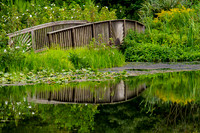 Nature and Scenery