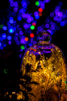 Magic of Holiday Lights